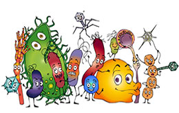 Les-microbes